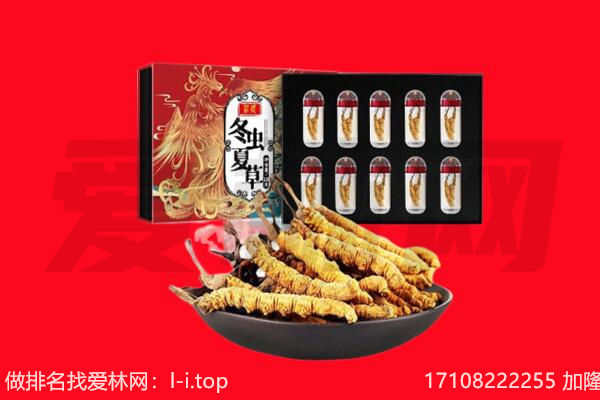 随州随县回收虫草.jpg